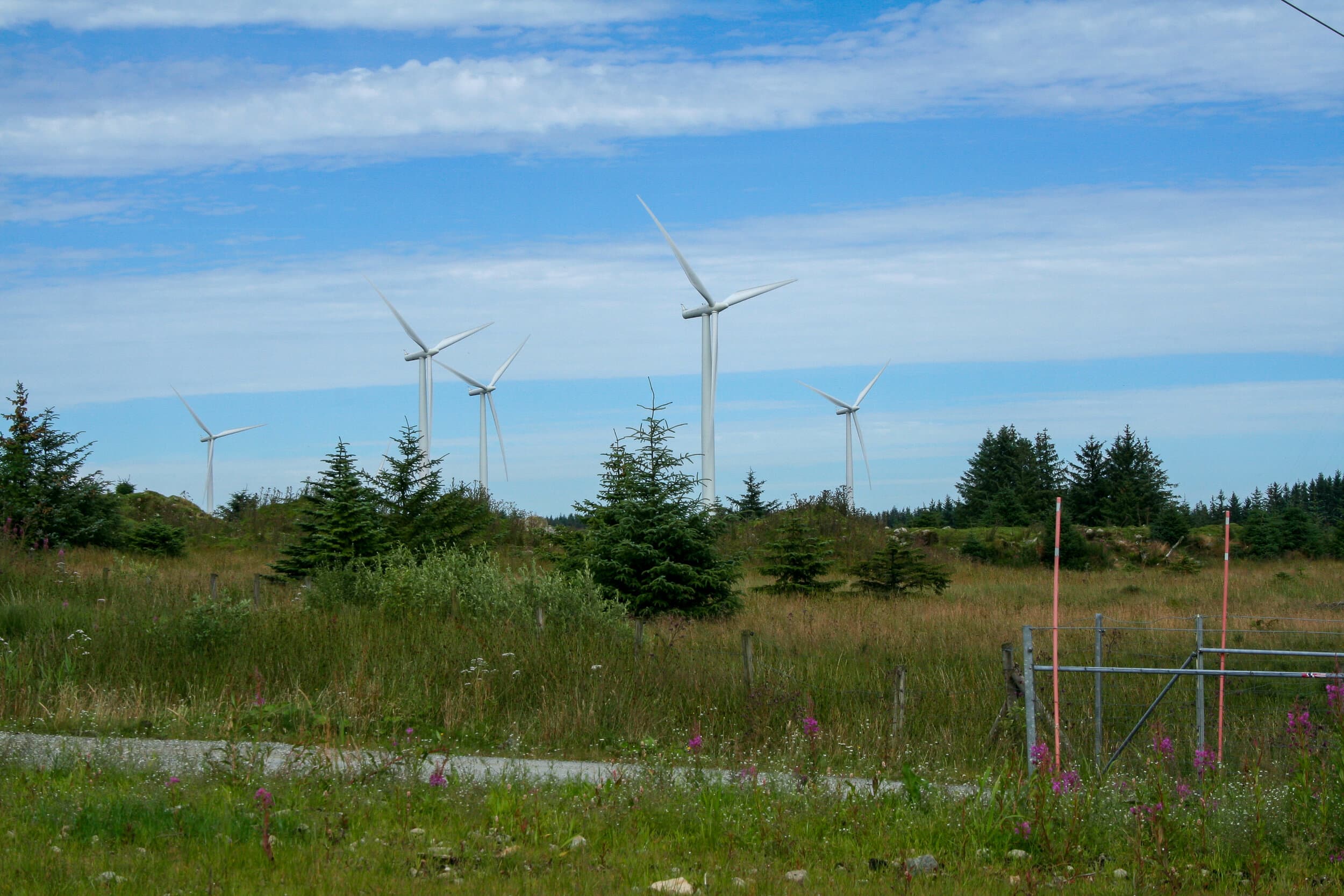 Abundant renewable energy